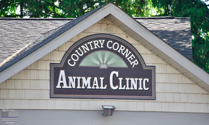 Country Corner Animal Clinic Picture 7