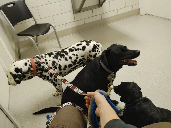 East Holmes Veterinary Clinic Picture 2