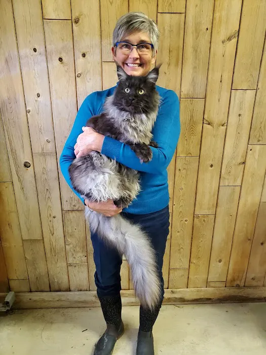 Windy Hill Pets, Kathy's Kattery Picture 1