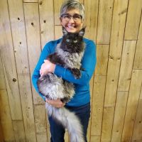 Windy Hill Pets, Kathy's Kattery ico