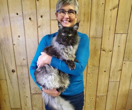 Windy Hill Pets, Kathy's Kattery