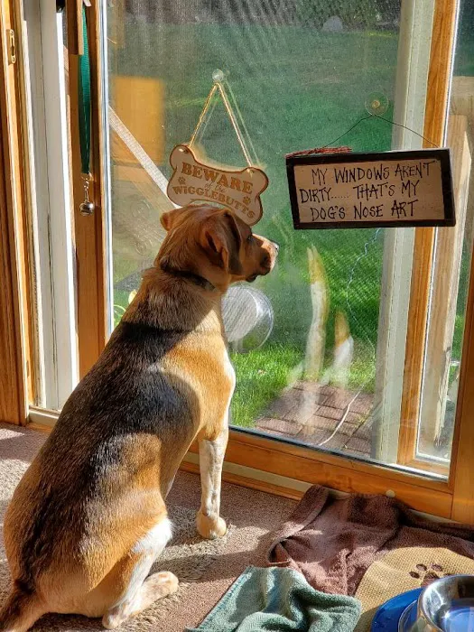 Brimfield Veterinary Services Picture 1