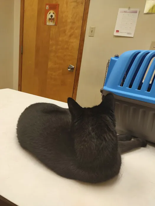 Tallmadge Animal Hospital Picture 1