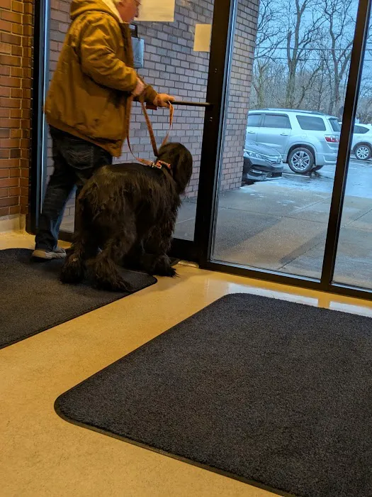 Tallmadge Animal Hospital Picture 4