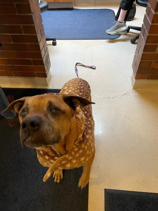 Tallmadge Animal Hospital Picture 7