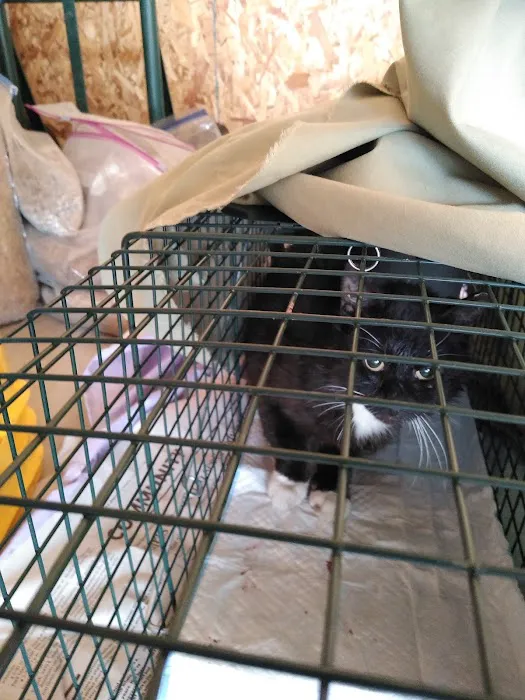 The Great Life Spay Neuter Picture 2