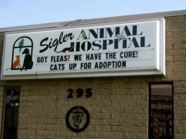 Sigler Animal Hospital Picture 6