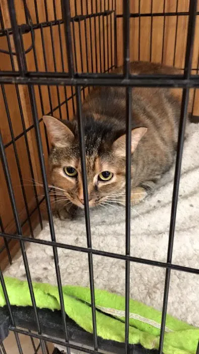Sigler Animal Hospital Picture 4