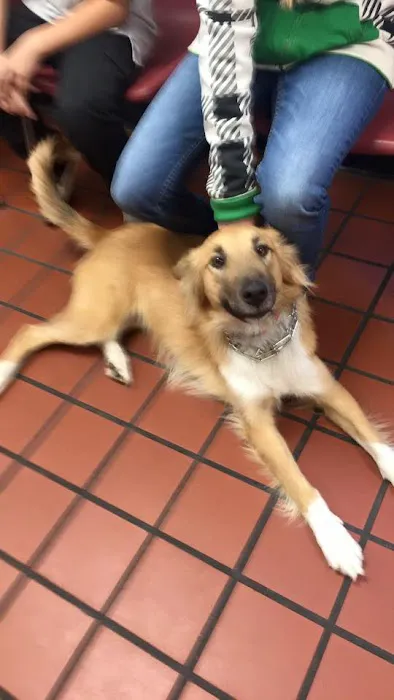Sigler Animal Hospital Picture 9