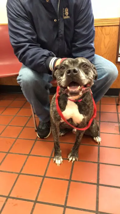 Sigler Animal Hospital Picture 10