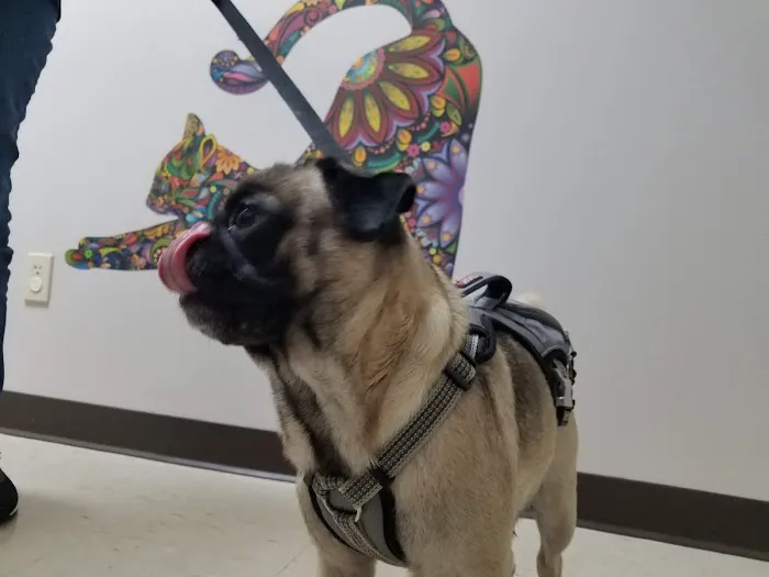 Buckeye Veterinary Clinic Picture 2