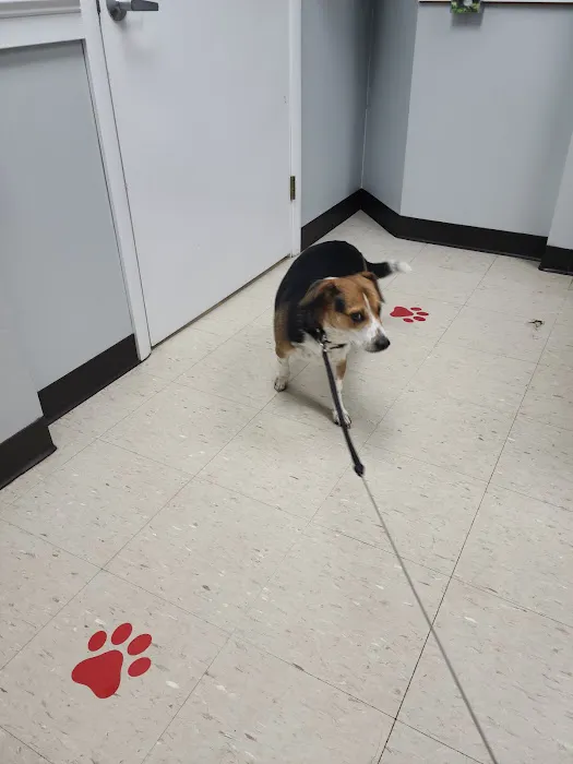 Buckeye Veterinary Clinic Picture 6