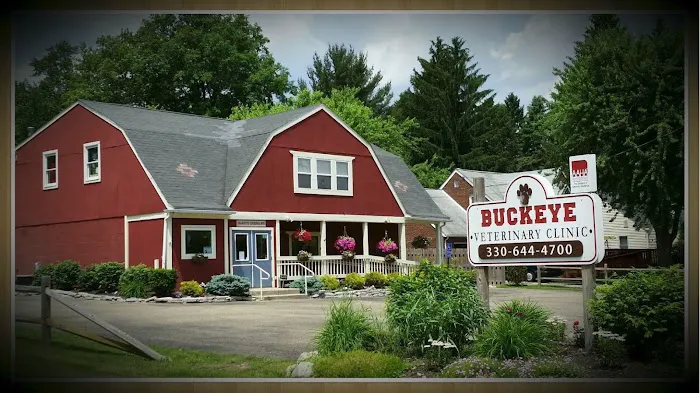 Buckeye Veterinary Clinic Picture 5