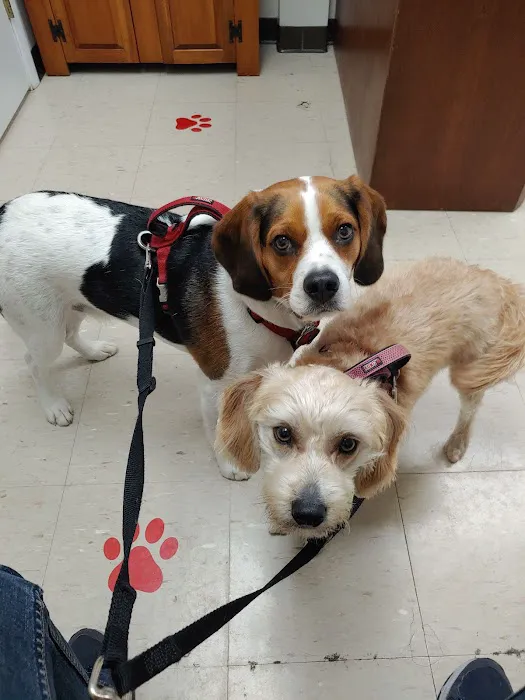 Buckeye Veterinary Clinic Picture 7