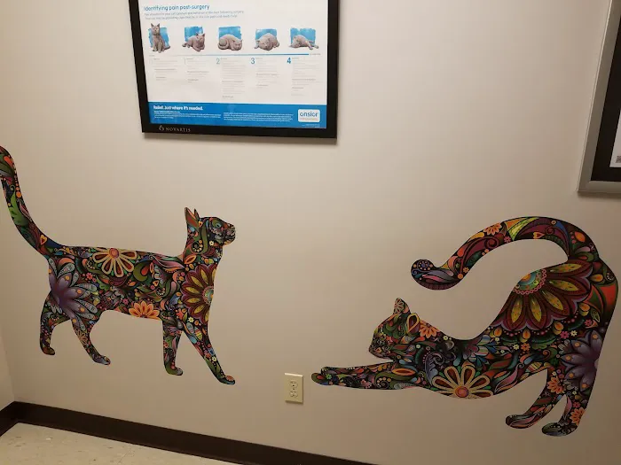 Buckeye Veterinary Clinic Picture 9