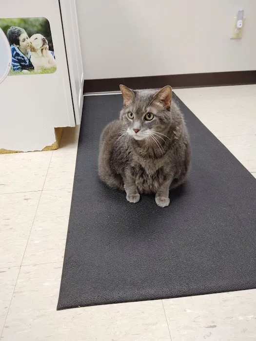 Buckeye Veterinary Clinic Picture 10