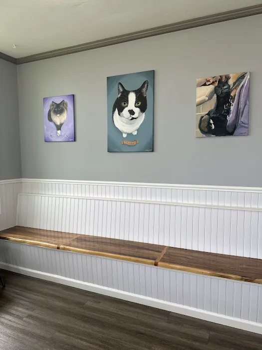 Mayfield Pet Hospital Picture 4