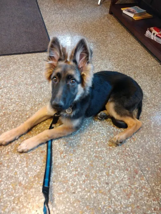 Mayfield Pet Hospital Picture 7