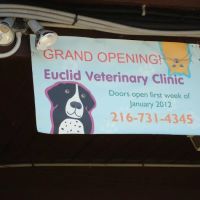 Euclid Veterinary Clinic Inc ico