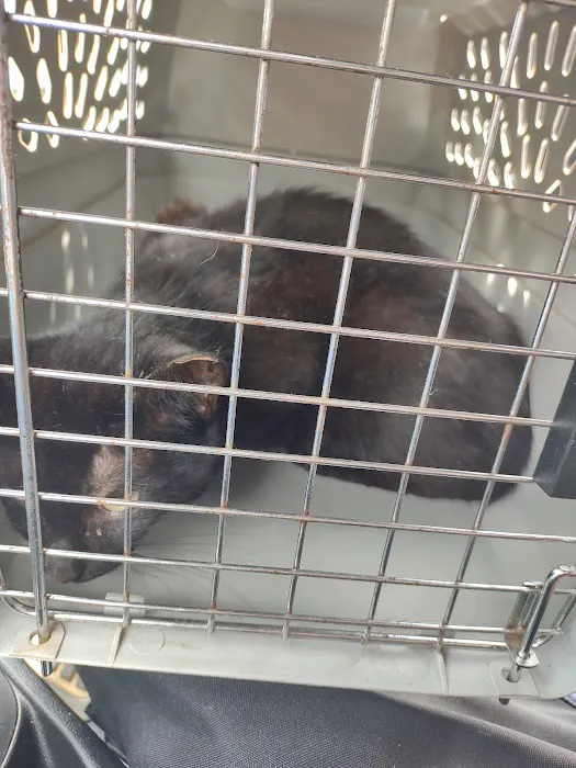 PetFix Northeast Ohio Picture 3