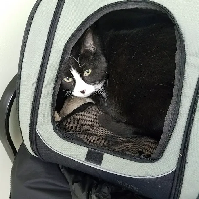 Beachland Animal Hospital Picture 7