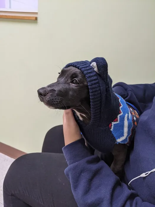 Beachland Animal Hospital Picture 6