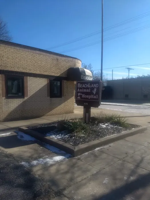 Beachland Animal Hospital Picture 8