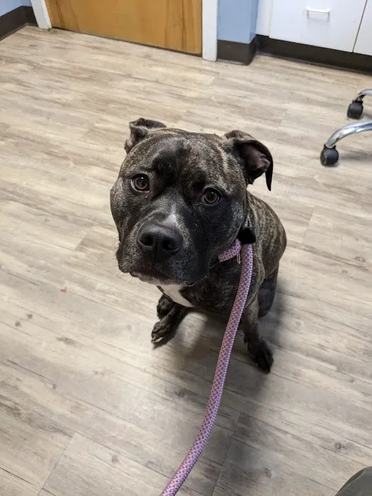 Tanneberger Veterinary Hospital Picture 1