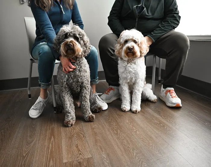 PetMedic Urgent Care Vet Clinic - Portsmouth Picture 3