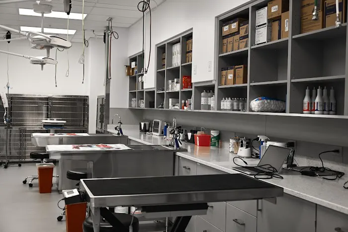 PetMedic Urgent Care Vet Clinic - Portsmouth Picture 5