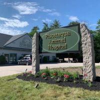 Piscataqua Animal Hospital ico