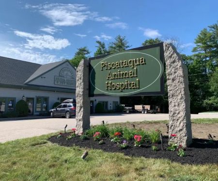 Piscataqua Animal Hospital