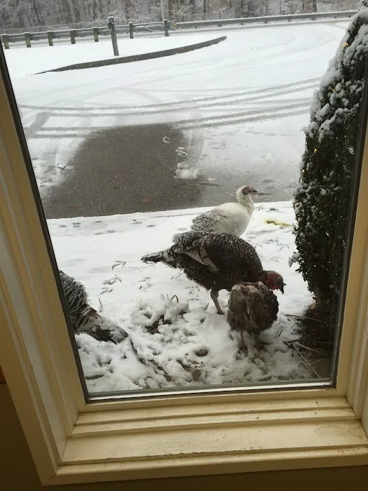 Piscataqua Animal Hospital Picture 10