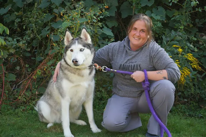 Greenland Veterinary Hospital Picture 3