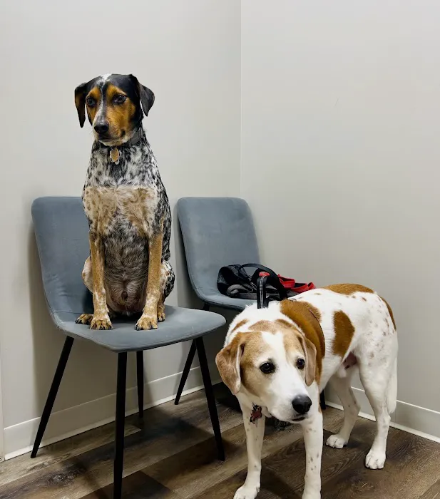 Lafayette Animal Hospital Picture 3