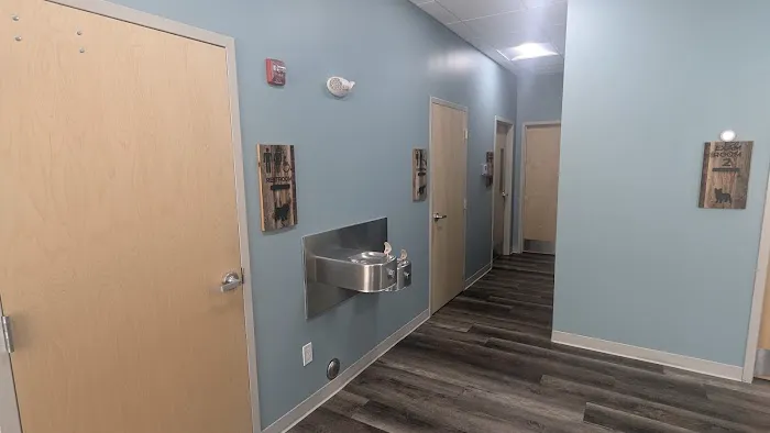 Lafayette Animal Hospital Picture 9