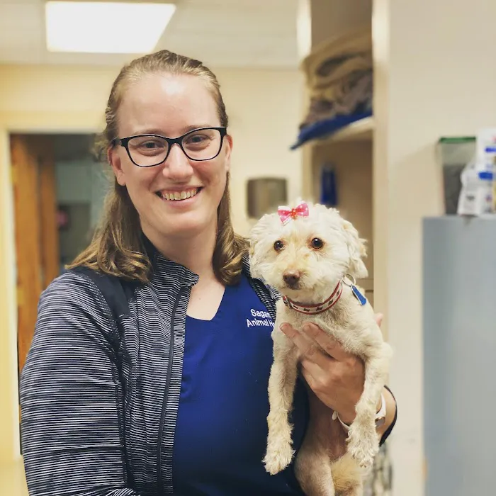 Sagamore Animal Hospital Picture 2