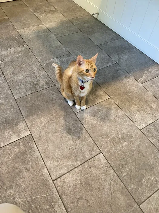 Sagamore Animal Hospital Picture 7