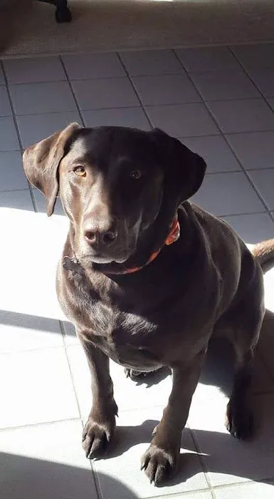 Sagamore Animal Hospital Picture 10