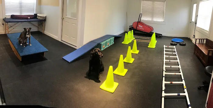 Tails of Rye Canine Rehabilitation Picture 5
