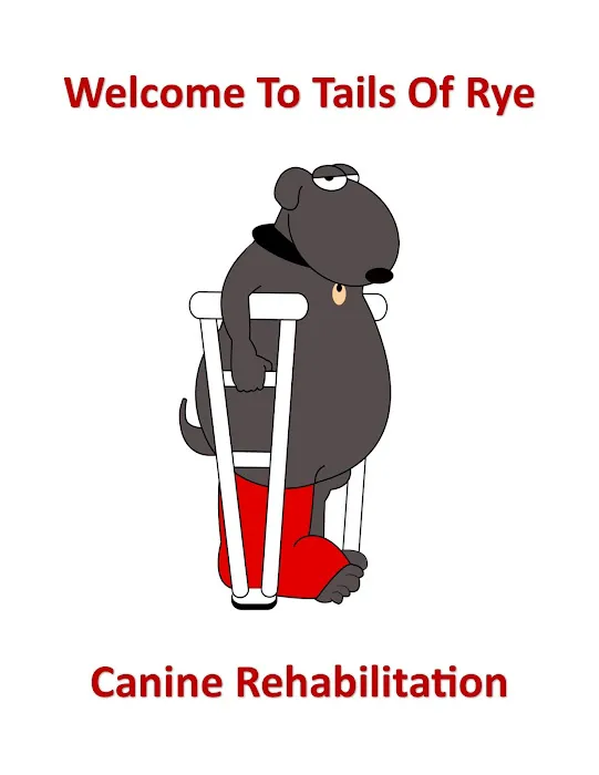 Tails of Rye Canine Rehabilitation Picture 8
