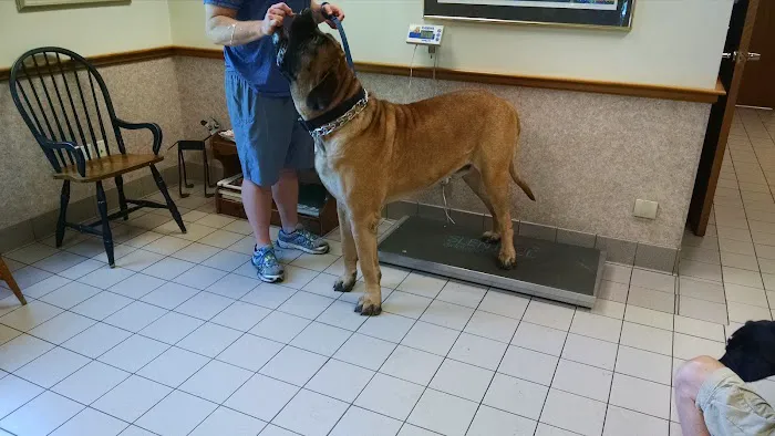 Hampton Animal Hospital Picture 10