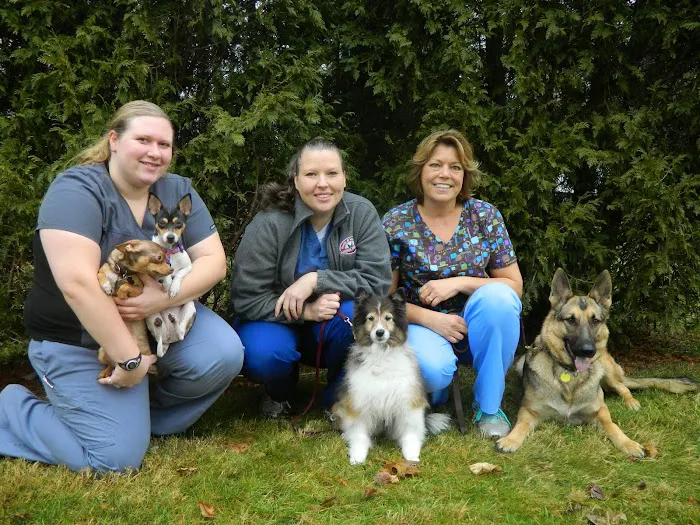 Health & Wellness Animal Hospital Picture 6