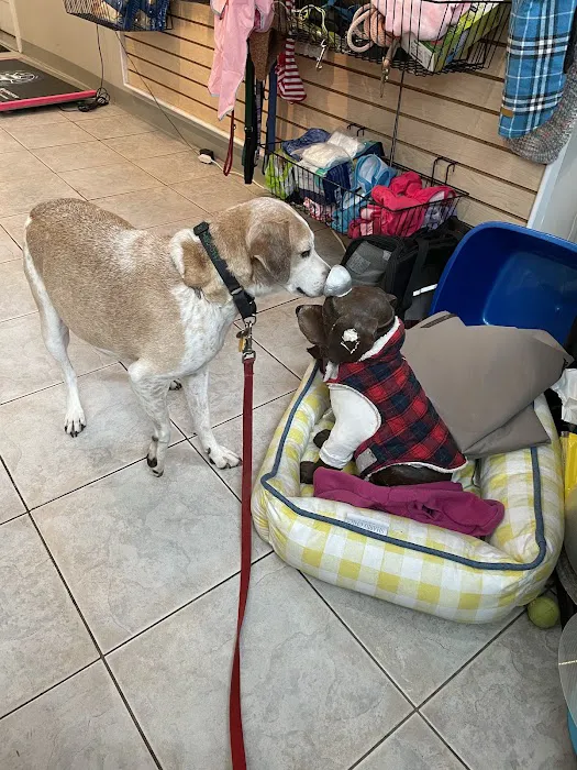 Health & Wellness Animal Hospital Picture 10