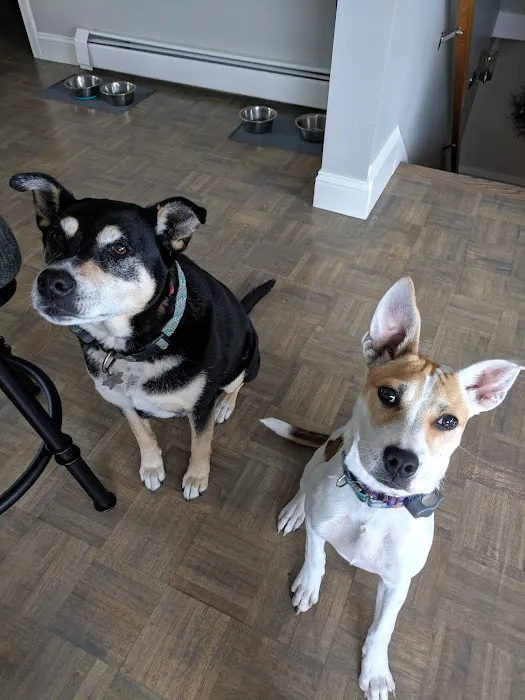 Health & Wellness Animal Hospital Picture 8