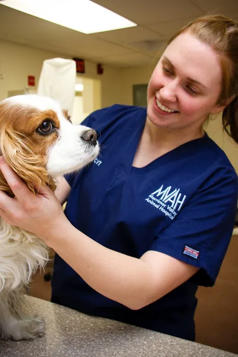 Merrimac Valley Animal Hospital Picture 1