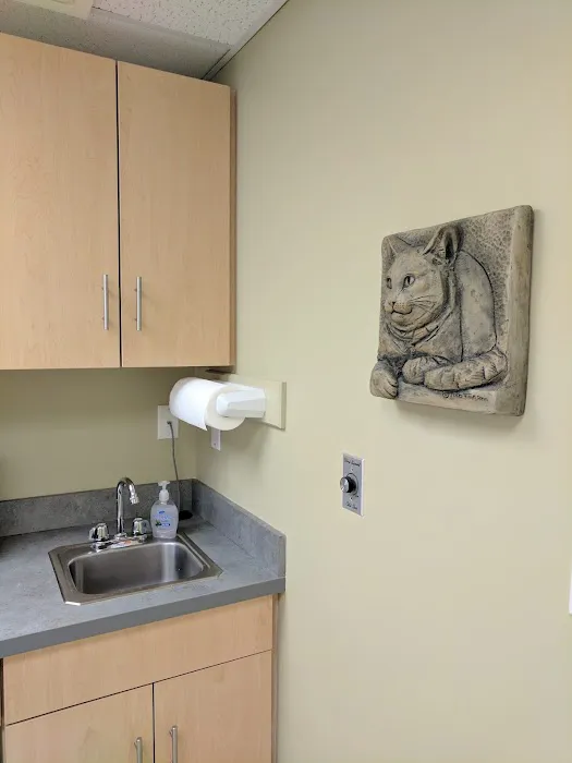 Merrimac Valley Animal Hospital Picture 6