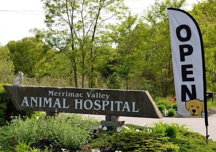 Merrimac Valley Animal Hospital Picture 7