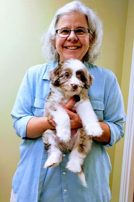 Merrimac Valley Animal Hospital Picture 5