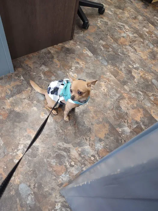Riverside Veterinary Clinic Picture 10